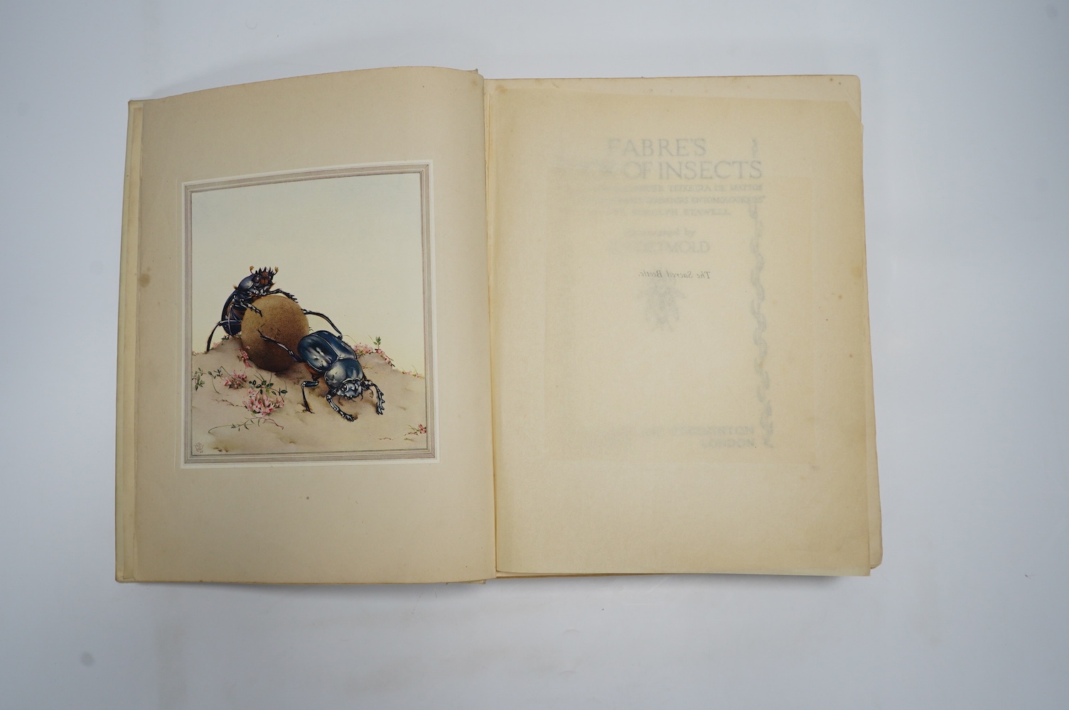 Detmold, Edward Julius (illustrator) - Maeterlinck, M, translated by A. Teixeira de Mattos - Hours of Gladness, with 20 colour plates, 4to, cream cloth gilt, George Allen & Co, Ltd., London and Dodd, Mead & Company, New